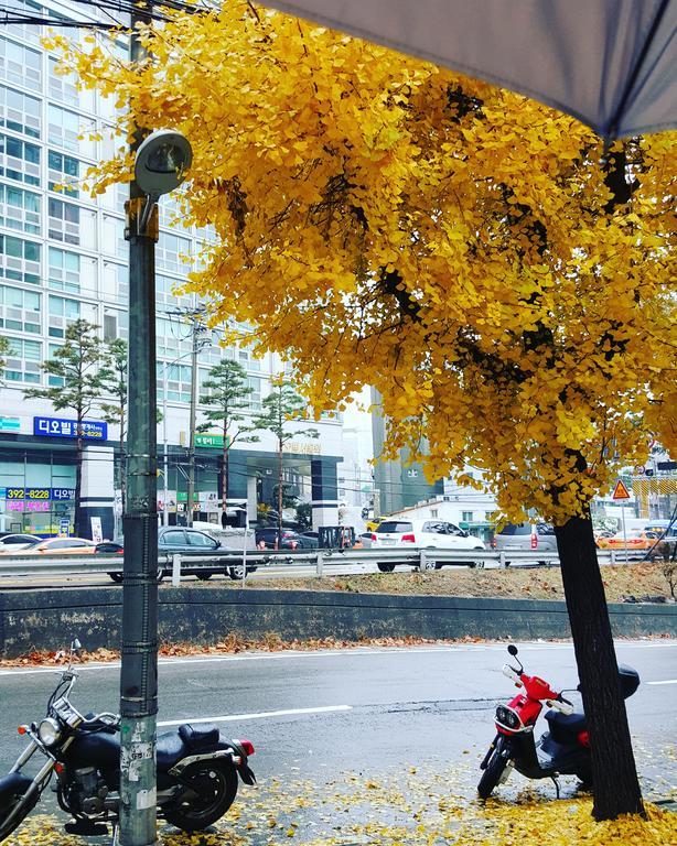 Feliz Guesthouse, Seoul Station 외부 사진